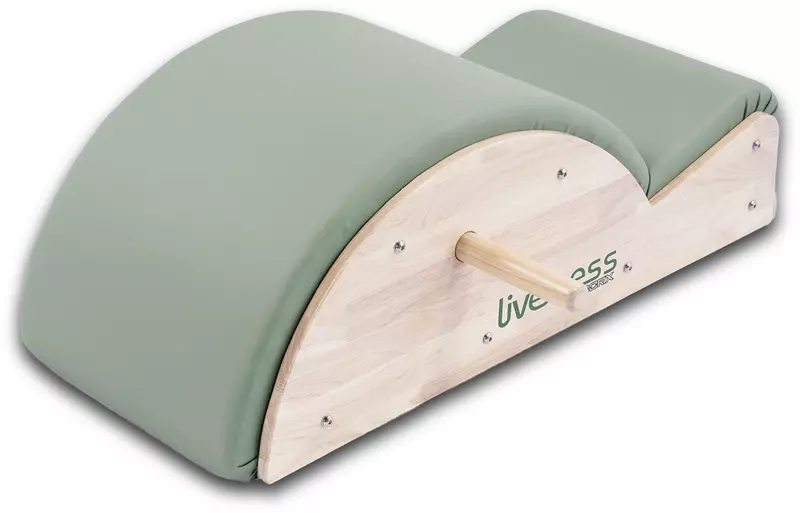 LIVENESS SPINE CORRECTOR PTX-1700G