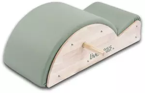 LIVENESS SPINE CORRECTOR PTX-1700G