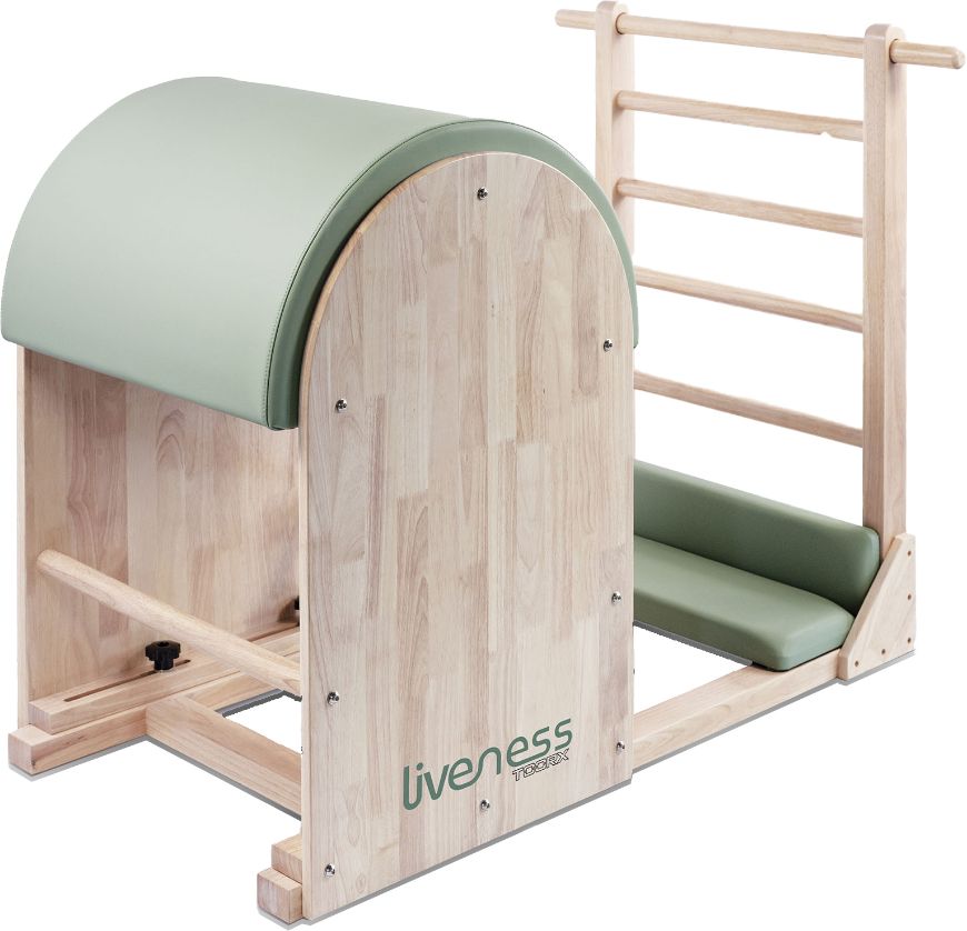 Slika LIVENESS LADDER BARREL PTX-1900G